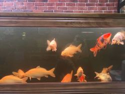 -青木造型HAIR·あおき髪を刈る潮人店