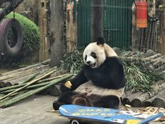 -大连森林动物园