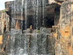 -海南热带野生动植物园