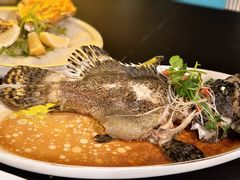 -宴悦海鲜餐厅·游水海鲜·牛排(亚龙湾瑞吉店)