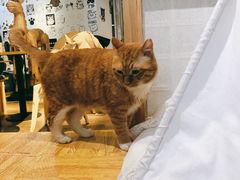 -小时光咖啡馆(开森度假森林店)