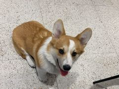 -肥朵食堂(带梦胡同店)