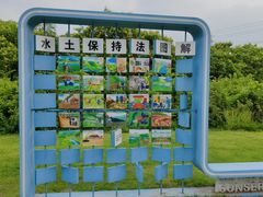 -九里河湿地公园