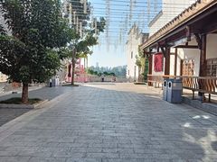 -洋湖国家湿地公园