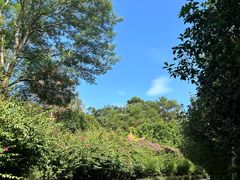 -白云山风景名胜区