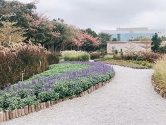 -映月湖公园