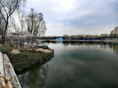 -大兴滨河森林公园