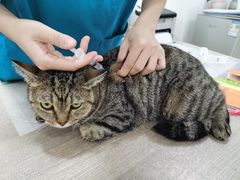 -荔康动物医院(康王北路店)