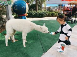 -萌宠亲子动物乐园(槐房万达店)