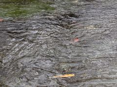 -水磨沟公园