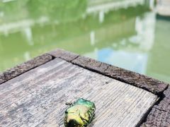 -南翔古镇