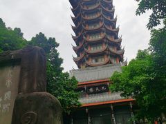 -塔子山公园