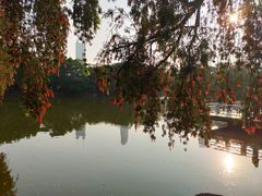 -人民公园(罗湖区)