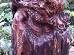 iphone_upload_pic-绿色时代大酒店