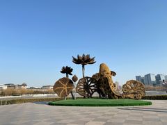 -莲花池公园