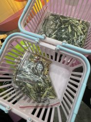 -神奇动物撸宠馆·羊驼·小浣熊·异宠(豫园店)