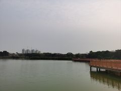 -海上田园