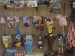 -瑞派宠物医院·24小时骨科·心脏·核磁(哈尔滨南岗店)