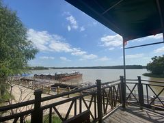 -上海海湾国家森林公园