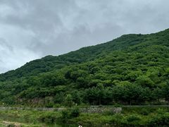 -大连天门山国家森林公园