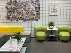 -半岛宠物医院24小时(科华中路店)