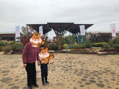 -上海长兴岛郊野公园