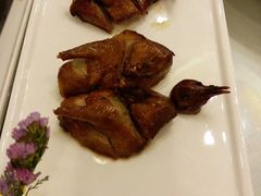 -锦江宾馆-花园餐厅