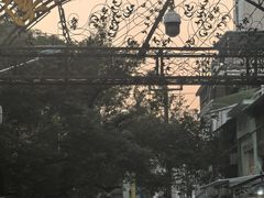 -溪岸路花鸟市场