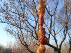 -无锡梅园公园
