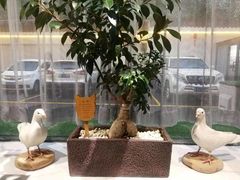 -静一·食光里(黄河路店)