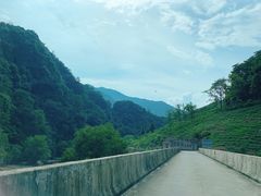 -水墨汀溪风景区