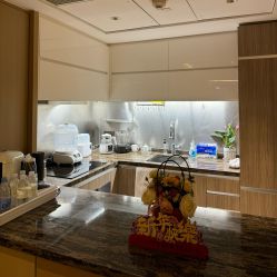 -巍阁高端月子会所