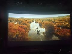 -USM宜欣全景声激光巨幕影城(宜欣城旗舰店)