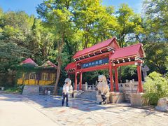 -原山国家森林公园