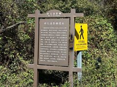 -阳台山自然风景区