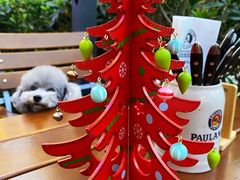 -Paulaner·德国帕拉娜自酿啤酒餐厅(海上世界店)
