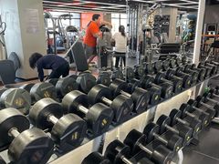 -健身专家Wellness Experts