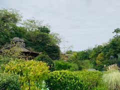 -吴淞炮台湾湿地森林公园烧烤区