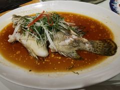 清蒸东星斑-东海海鲜酒家(中信广场店)