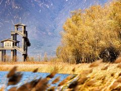 -野鸭湖国家湿地公园