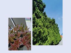 -上海市龙华烈士陵园