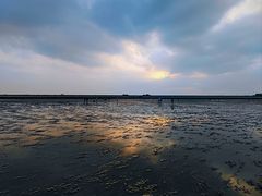 -南汇嘴观海公园