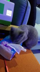 -BBVR团建聚会体验馆·亲子DIY手工