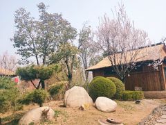 -诗经里