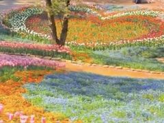 -南京金牛湖风景区