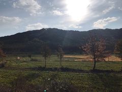 -塔川景区