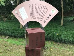 -昆山城市生态森林公园