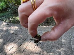 -南山风景名胜区