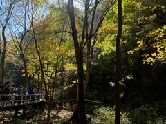 -香炉山国家森林公园