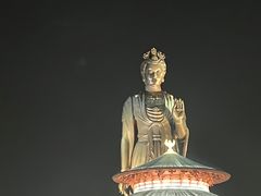 -海合安苏州阳澄半岛乐园
